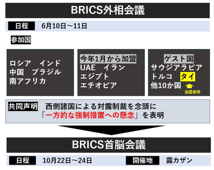 BRICS外相会議